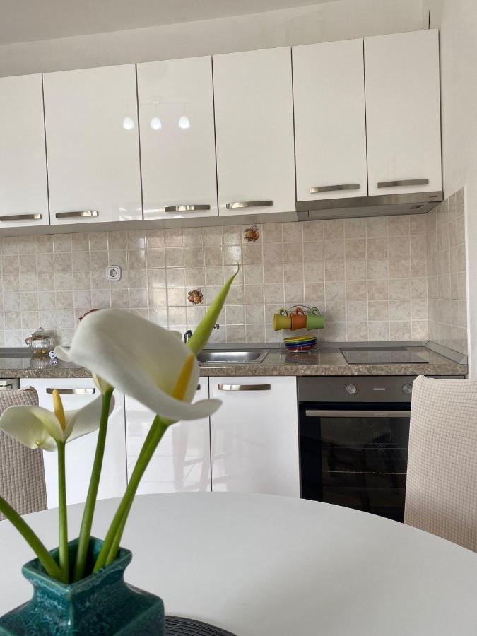 Studio Apartment Novak Cilipi Luaran gambar